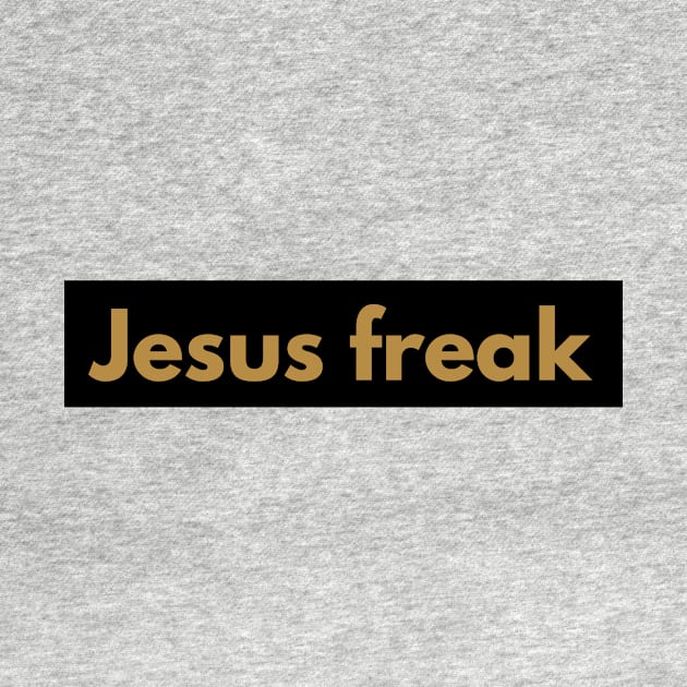 Jesus Freak by 2believers